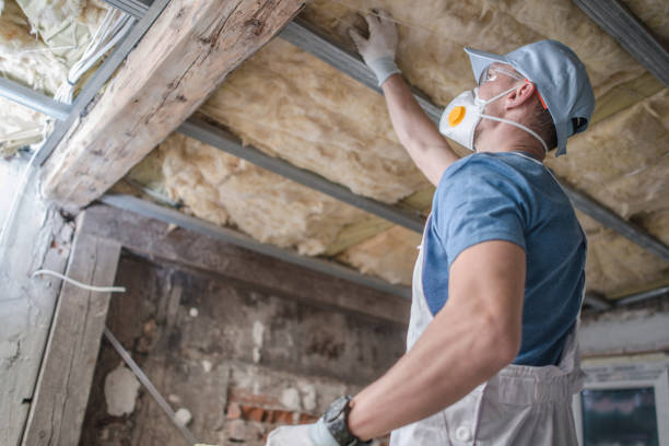 Best Cellulose Insulation in Whitaker, PA